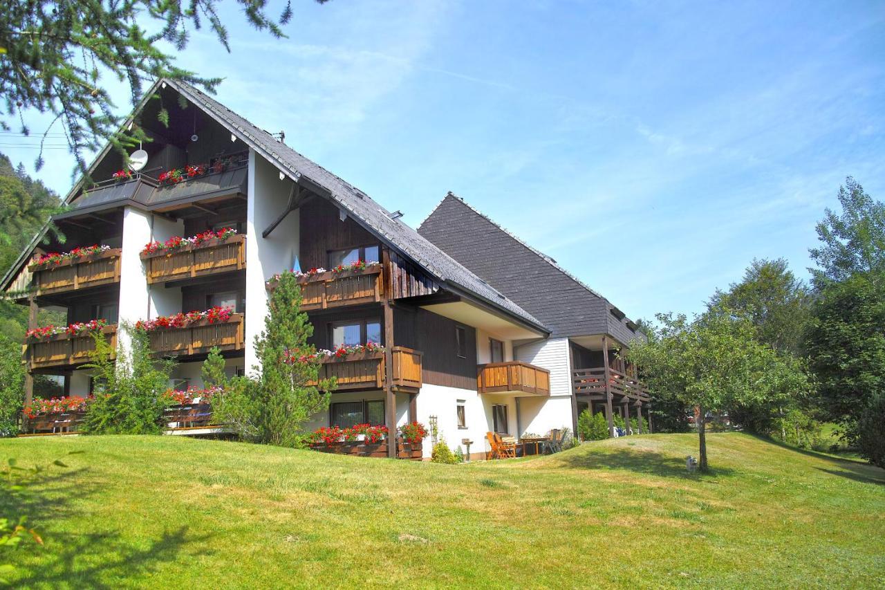 C3 Albmatte-Fewo Sauna, Hallenbad Aussenbecken Massagen Nebenan Санкт-Блазиен Экстерьер фото