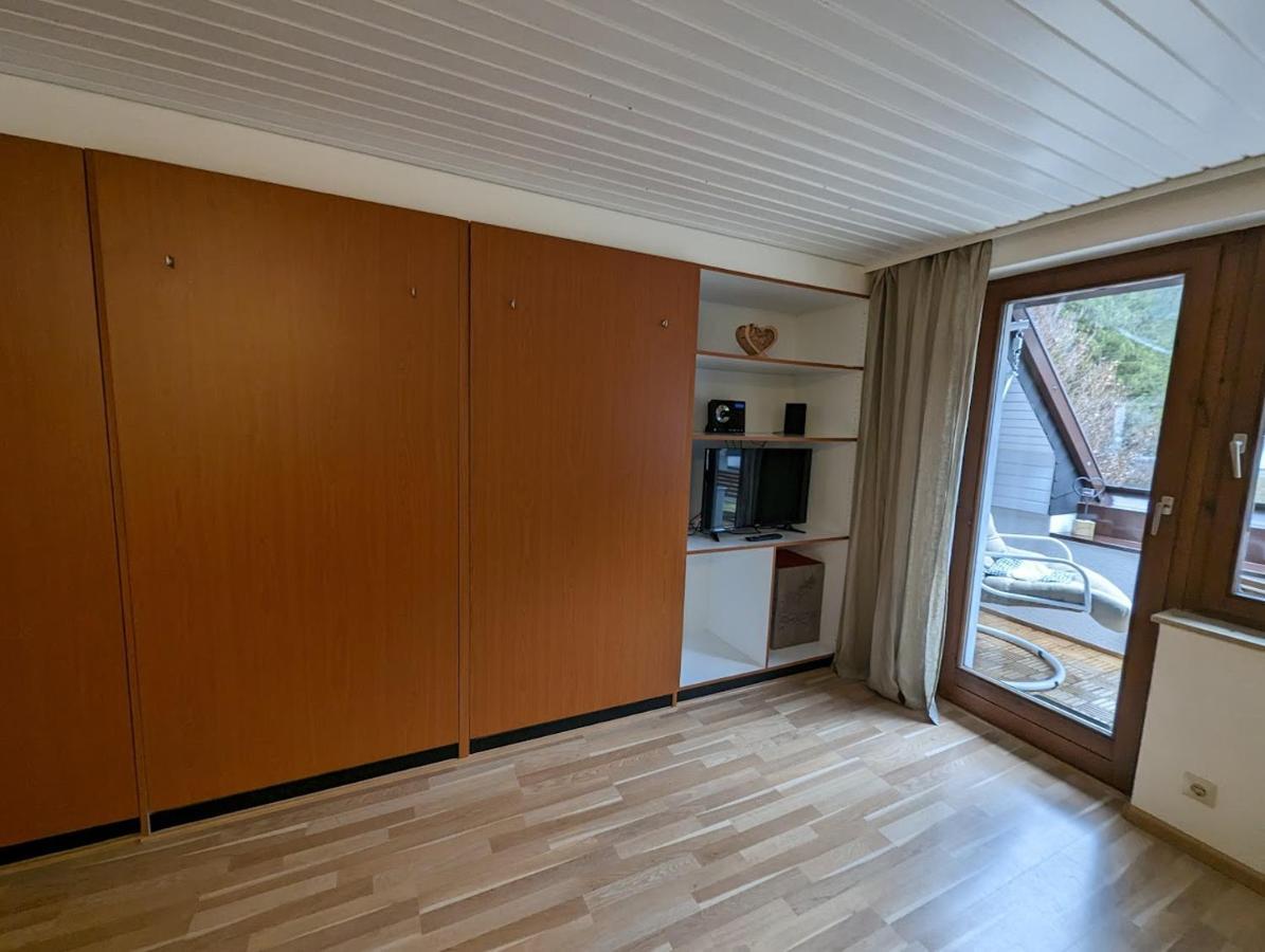 C3 Albmatte-Fewo Sauna, Hallenbad Aussenbecken Massagen Nebenan Санкт-Блазиен Экстерьер фото