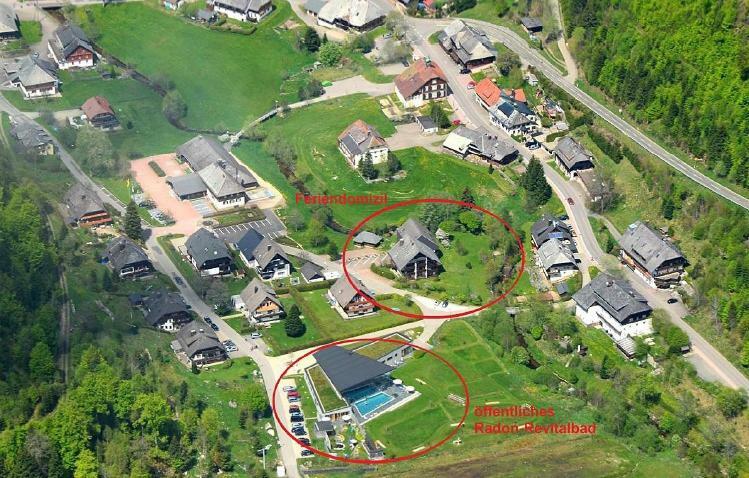 C3 Albmatte-Fewo Sauna, Hallenbad Aussenbecken Massagen Nebenan Санкт-Блазиен Экстерьер фото