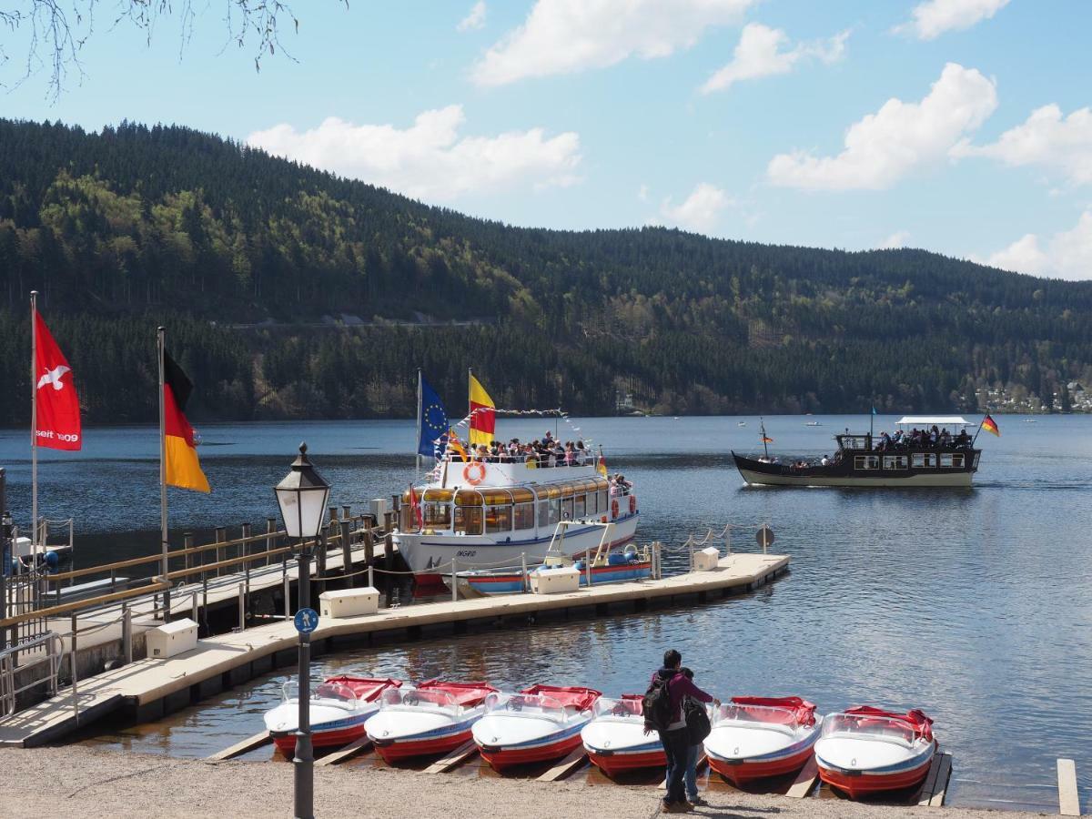 C3 Albmatte-Fewo Sauna, Hallenbad Aussenbecken Massagen Nebenan Санкт-Блазиен Экстерьер фото