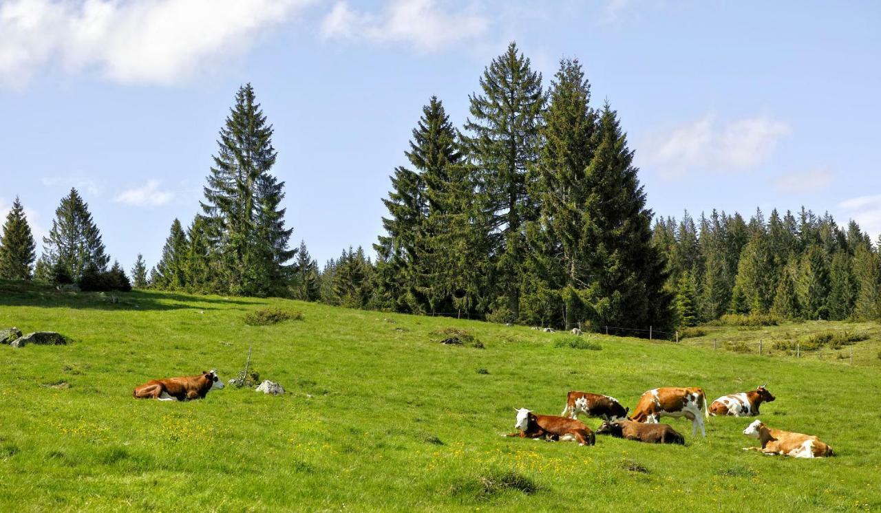 C3 Albmatte-Fewo Sauna, Hallenbad Aussenbecken Massagen Nebenan Санкт-Блазиен Экстерьер фото