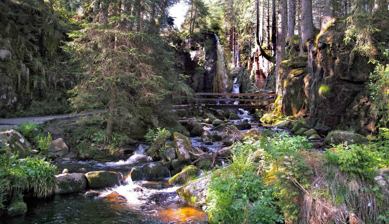 C3 Albmatte-Fewo Sauna, Hallenbad Aussenbecken Massagen Nebenan Санкт-Блазиен Экстерьер фото