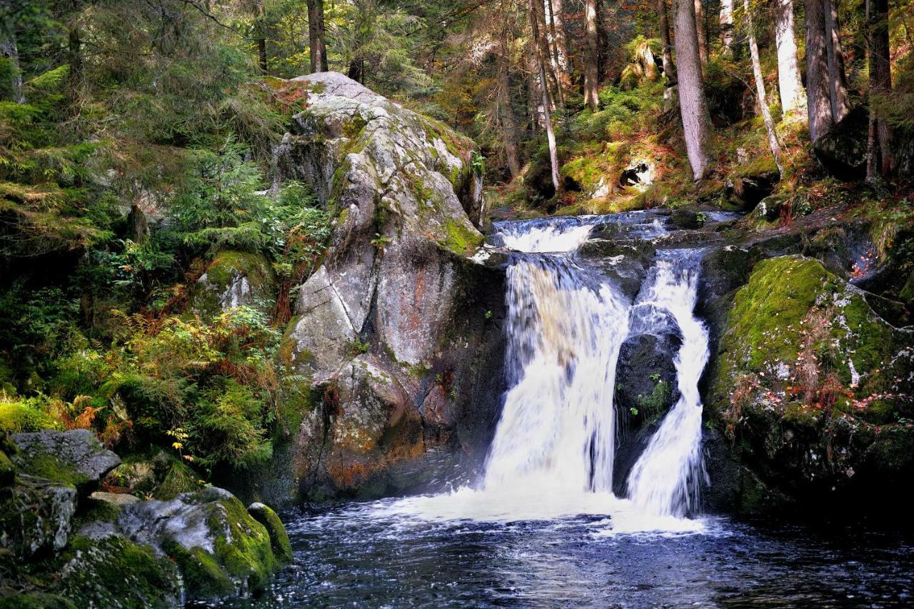 C3 Albmatte-Fewo Sauna, Hallenbad Aussenbecken Massagen Nebenan Санкт-Блазиен Экстерьер фото