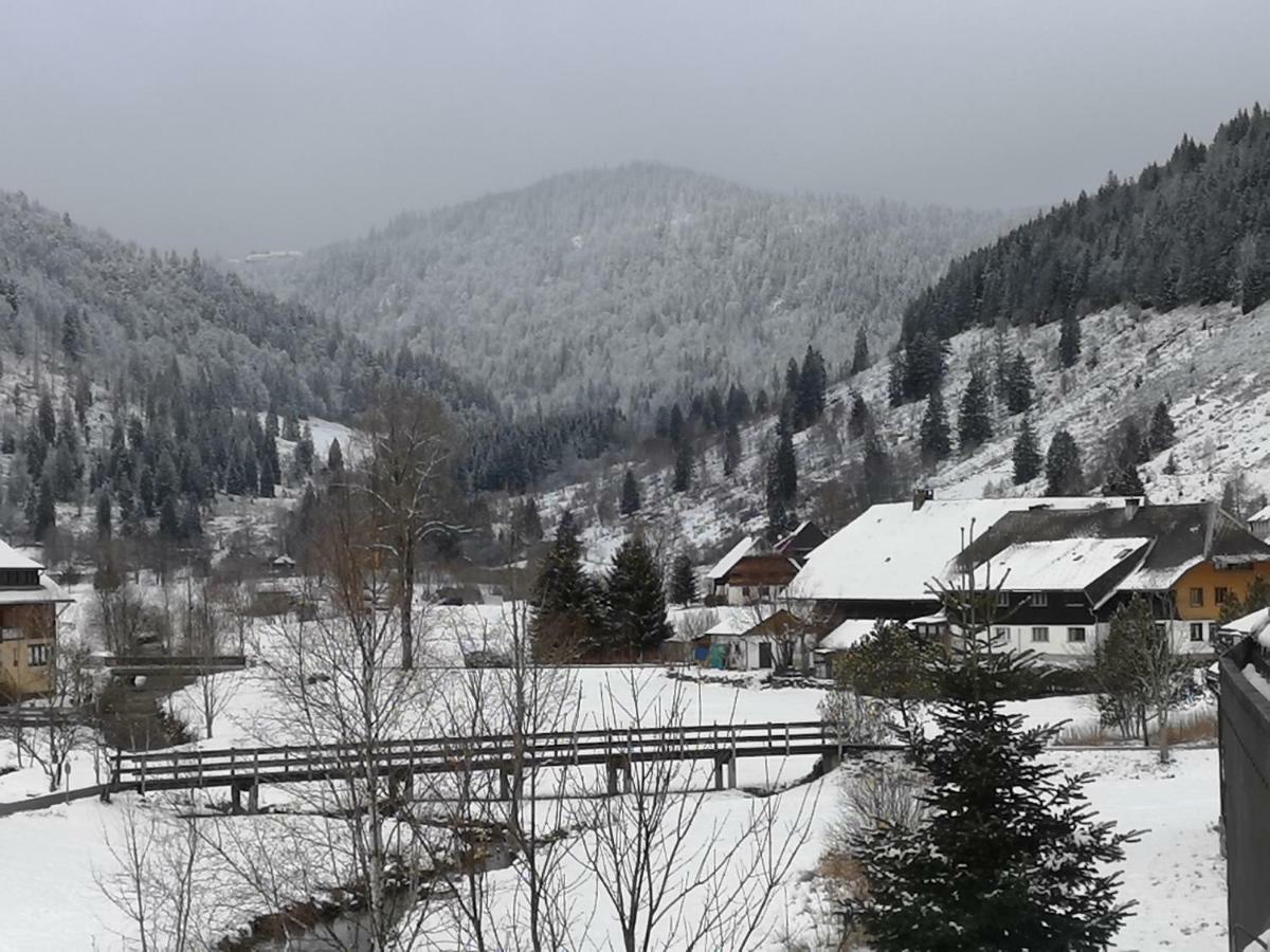 C3 Albmatte-Fewo Sauna, Hallenbad Aussenbecken Massagen Nebenan Санкт-Блазиен Экстерьер фото