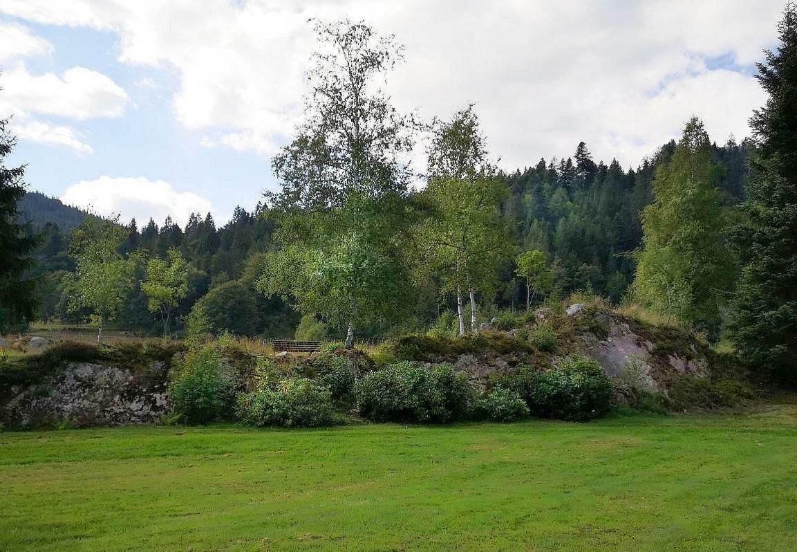 C3 Albmatte-Fewo Sauna, Hallenbad Aussenbecken Massagen Nebenan Санкт-Блазиен Экстерьер фото