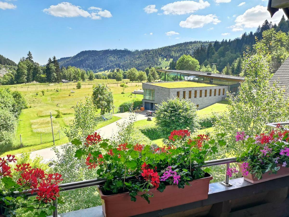 C3 Albmatte-Fewo Sauna, Hallenbad Aussenbecken Massagen Nebenan Санкт-Блазиен Экстерьер фото